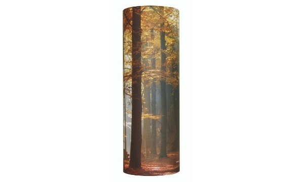 Autumn Wood