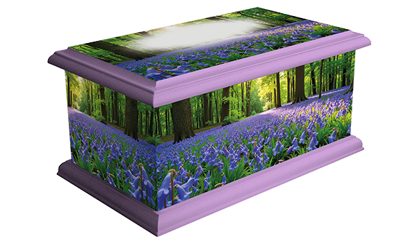 Bluebell Wood Contemporary Picture Ashes Casket