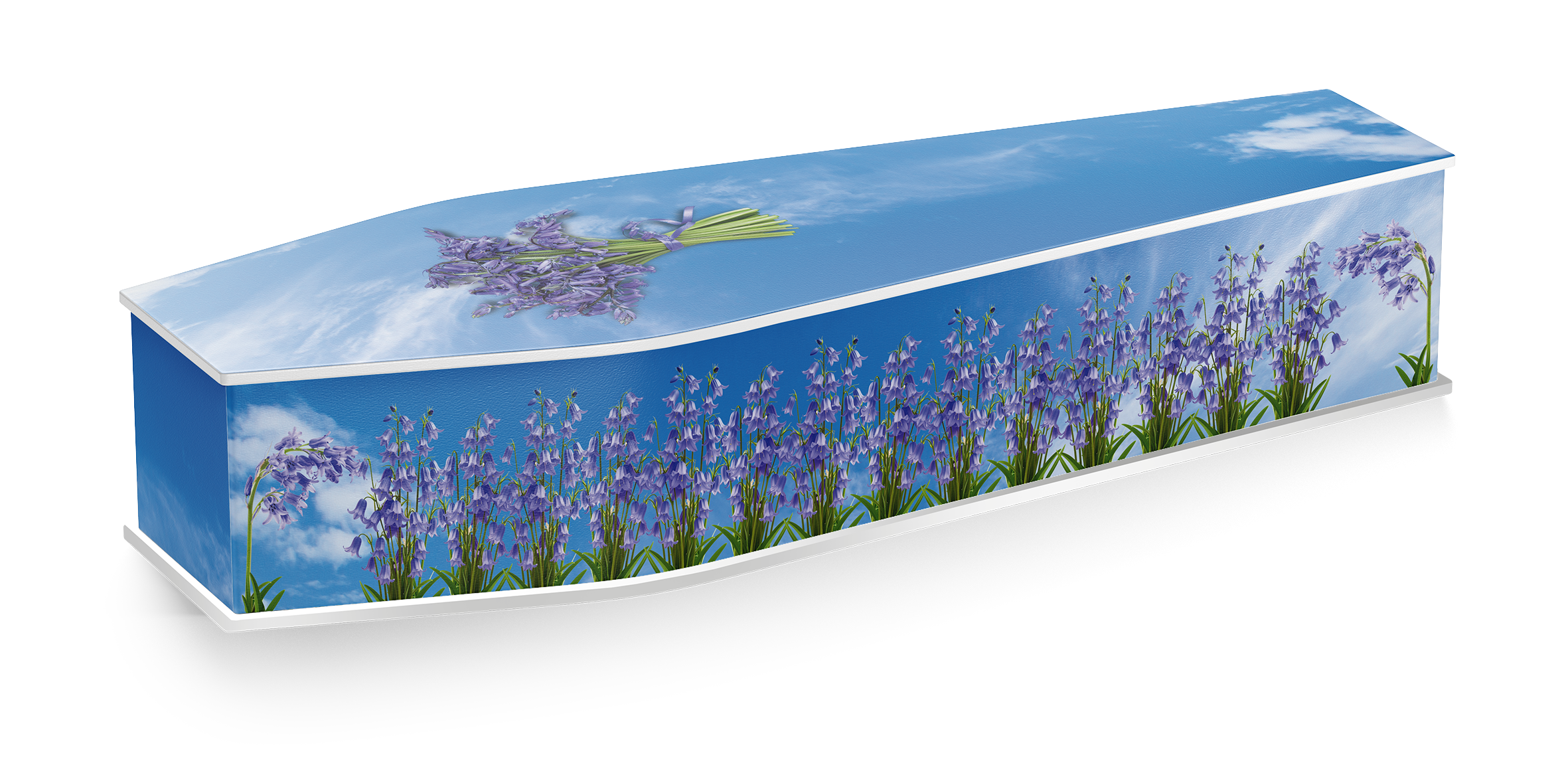 Printed Picture Coffins