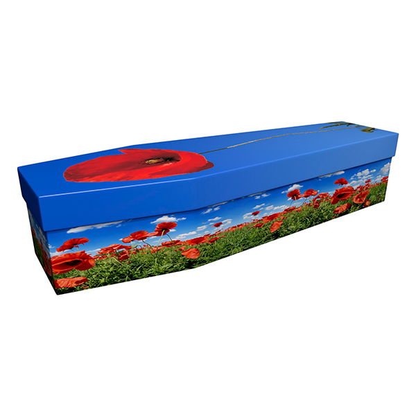 08 - Poppy Field